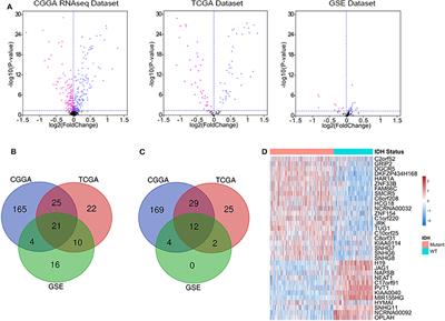 Long Non-coding RNA Expression Profiling Identifies a Four-Long Non-coding RNA Prognostic Signature for Isocitrate Dehydrogenase Mutant Glioma